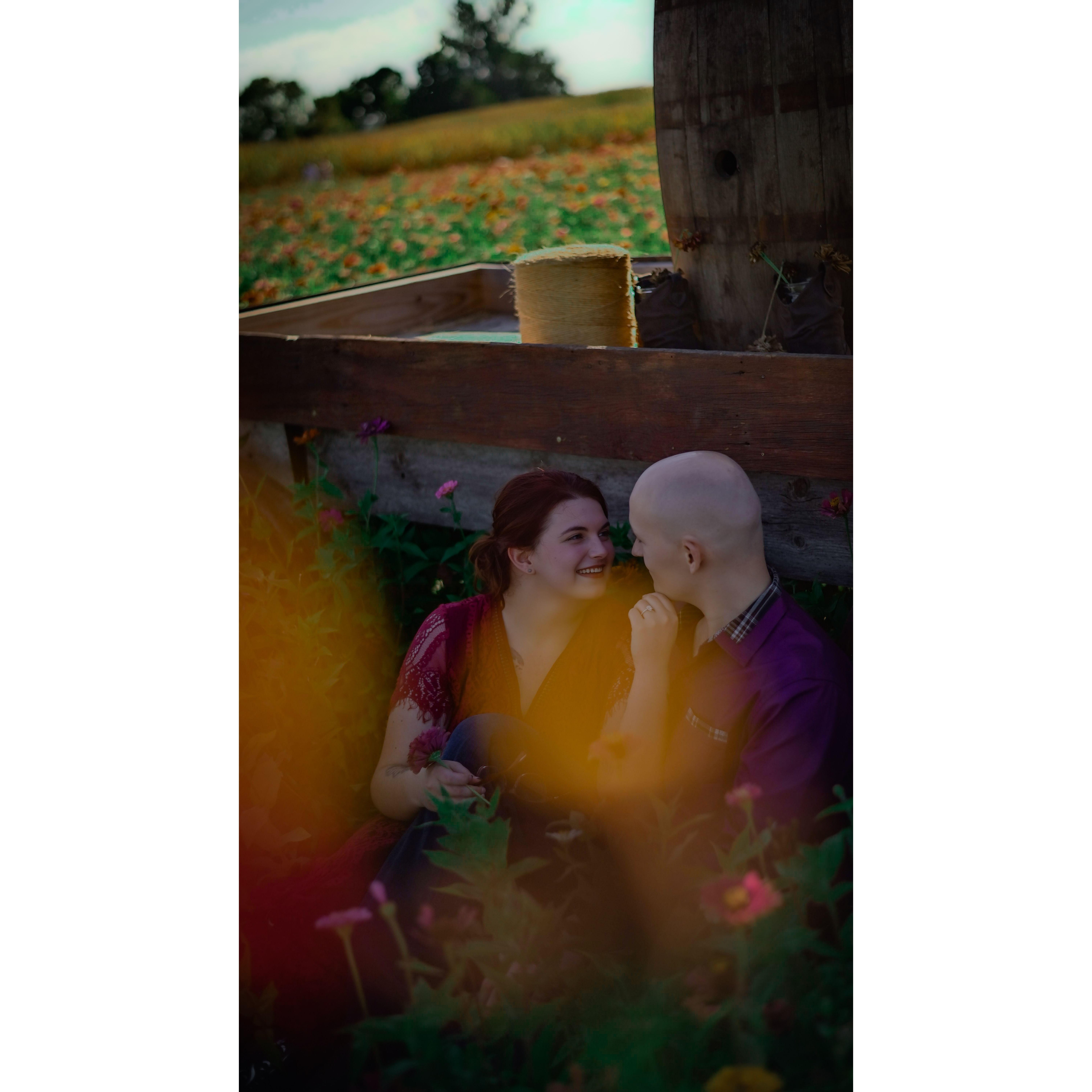 #EngagementShoot - @Center Grove Orchard - @Dutchmans Photography
