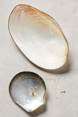 Seashell Trinket Dish