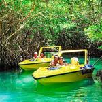 Jungle Tour with Snorkel in Cancun