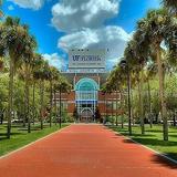 University of Florida