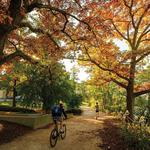Lakeshore Path to Picnic Point