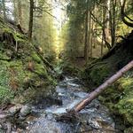 Puck's Glen