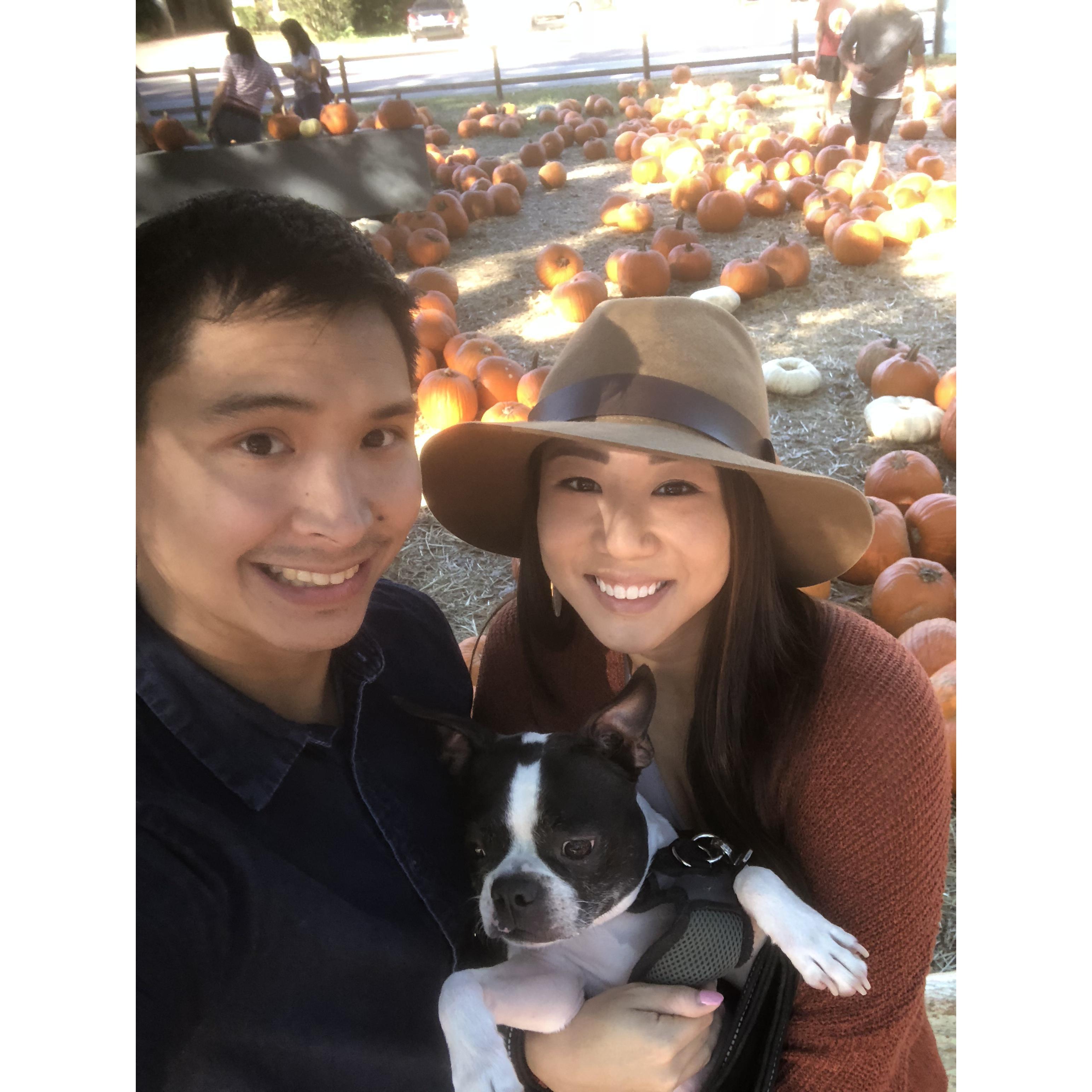 Pumpkin Patch with Pickles :)