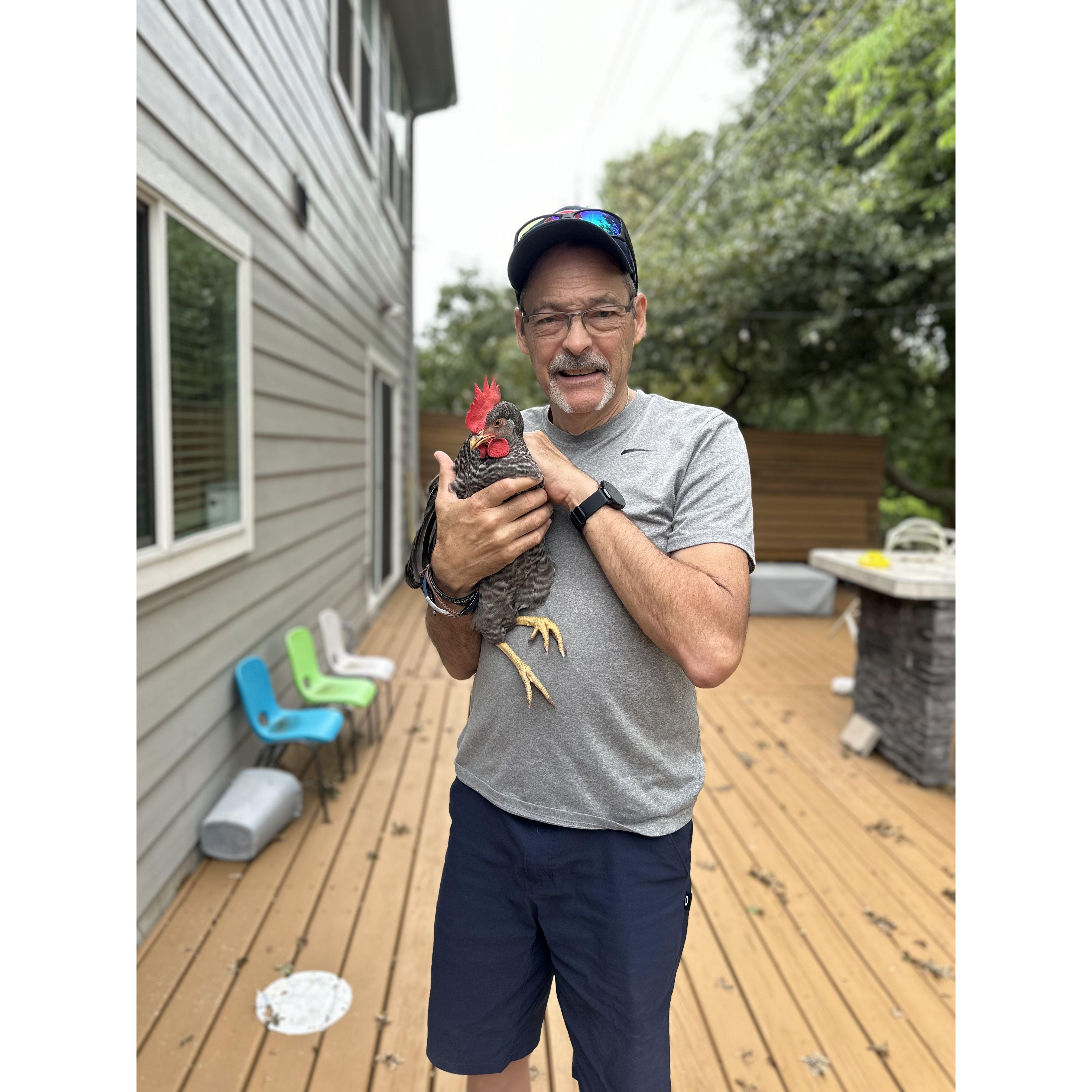 I love CHICKENS