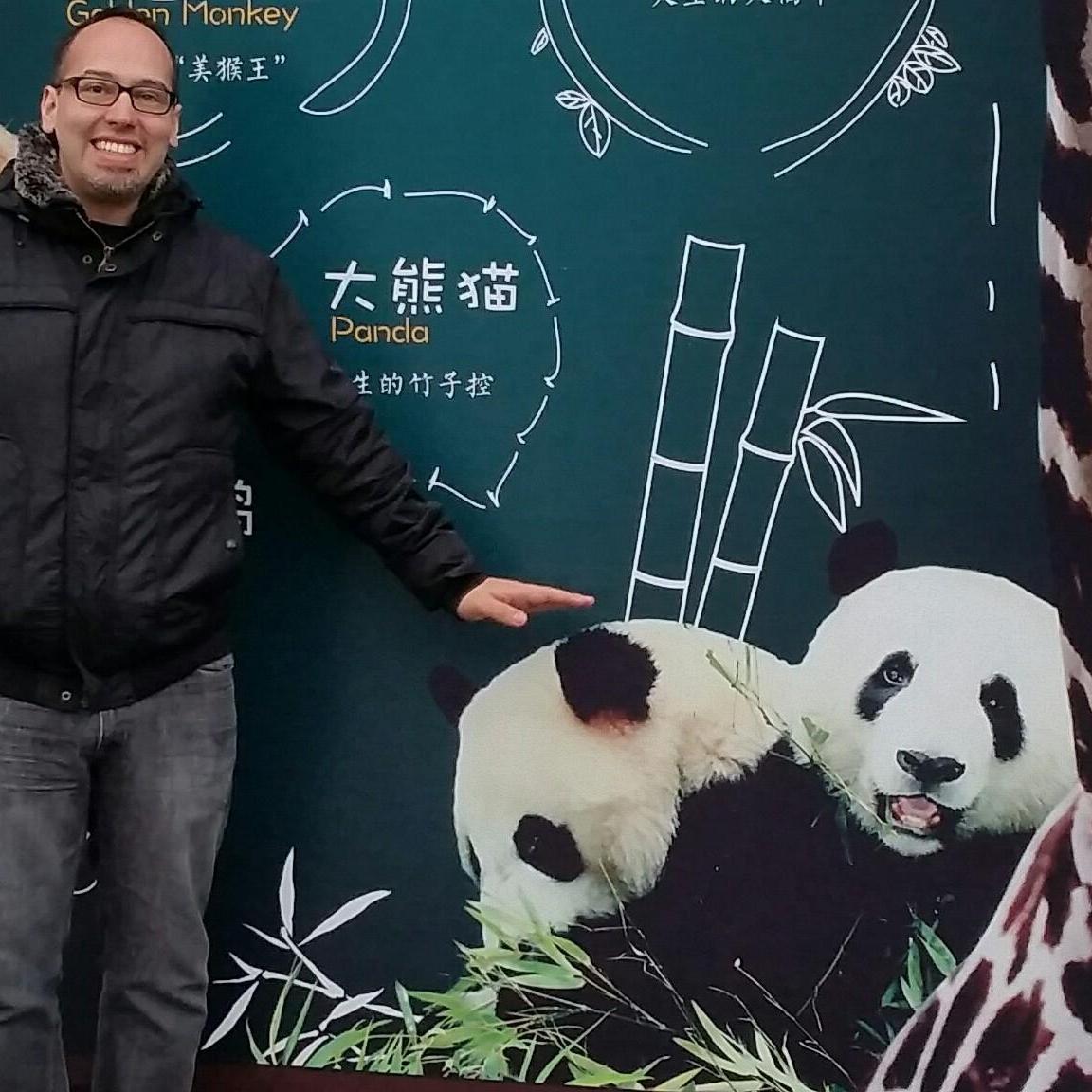 Pet the panda