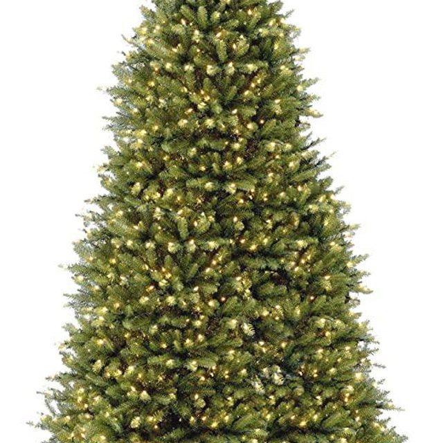 National Tree Company Pre-Lit Artificial Full Christmas Tree, Green, White Lights, Includes Stand, 10 Feet