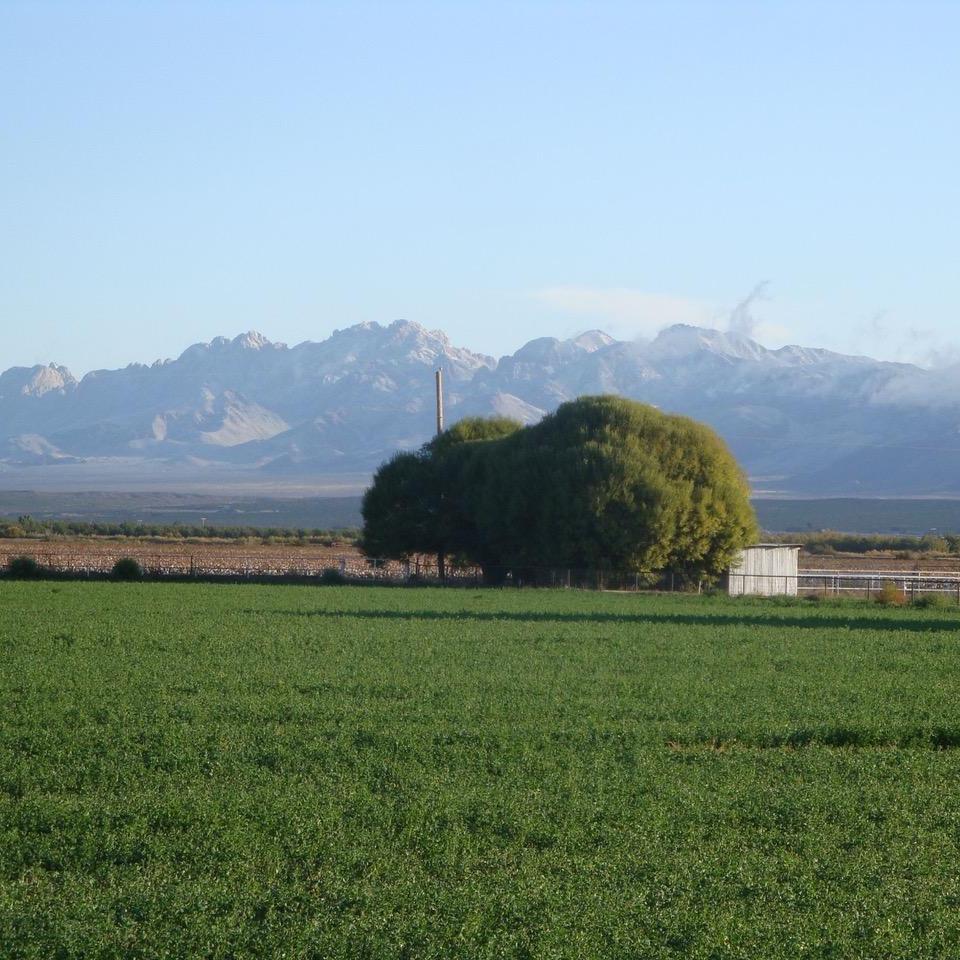 This is it! Claire and Spencer will be outstanding in this field when they say "I Do!" The Organ Mountains are not a bad back drop, eh?