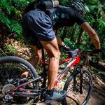 Fun things to do near the hotel!