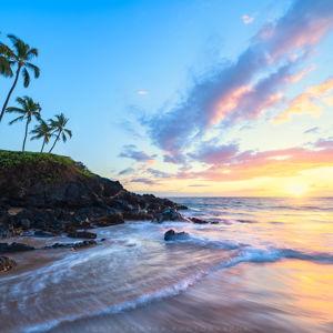 Our Hawaii Honeymoon Fund!