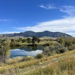 Bozeman