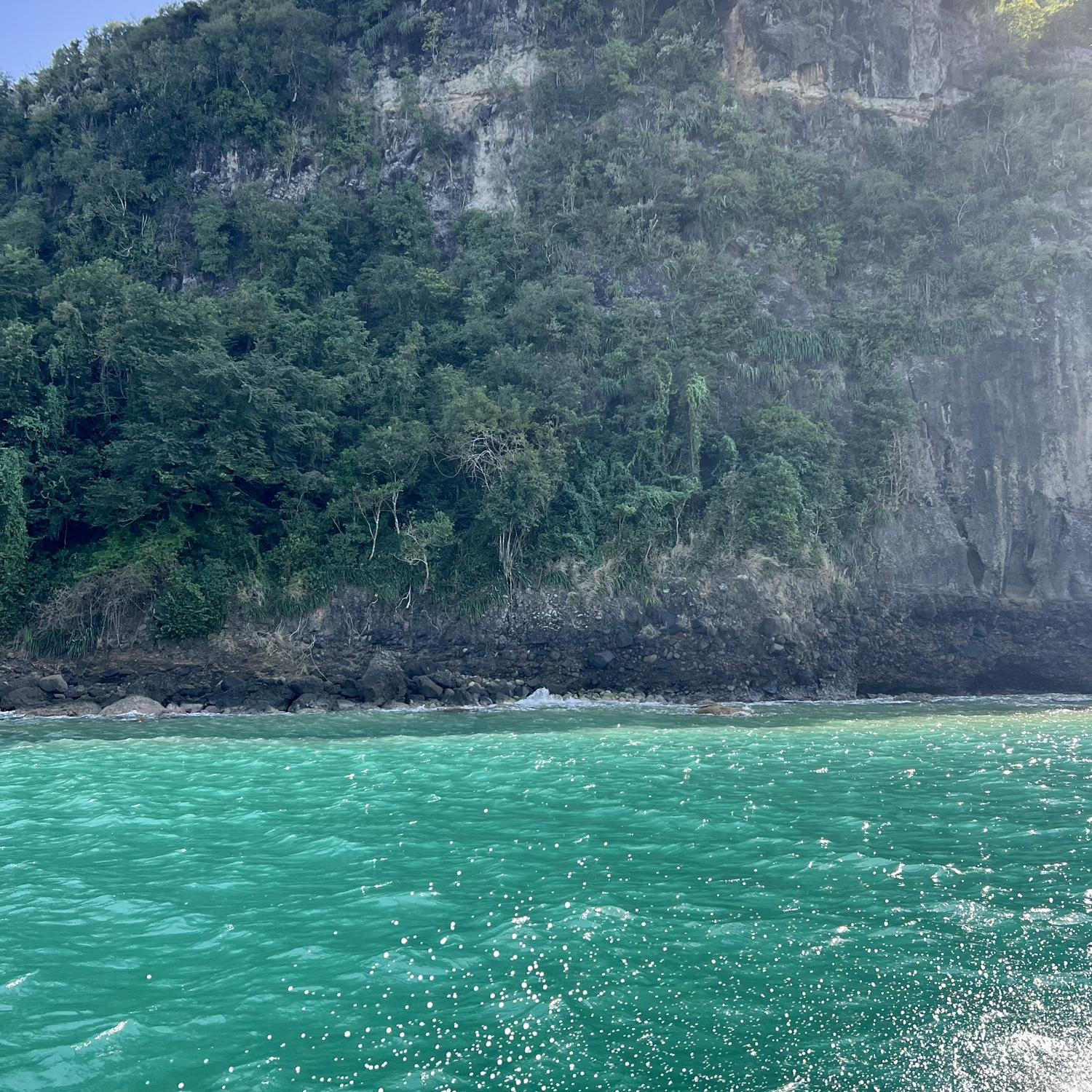 Boat excursion- we can't get over how beautiful the water is!