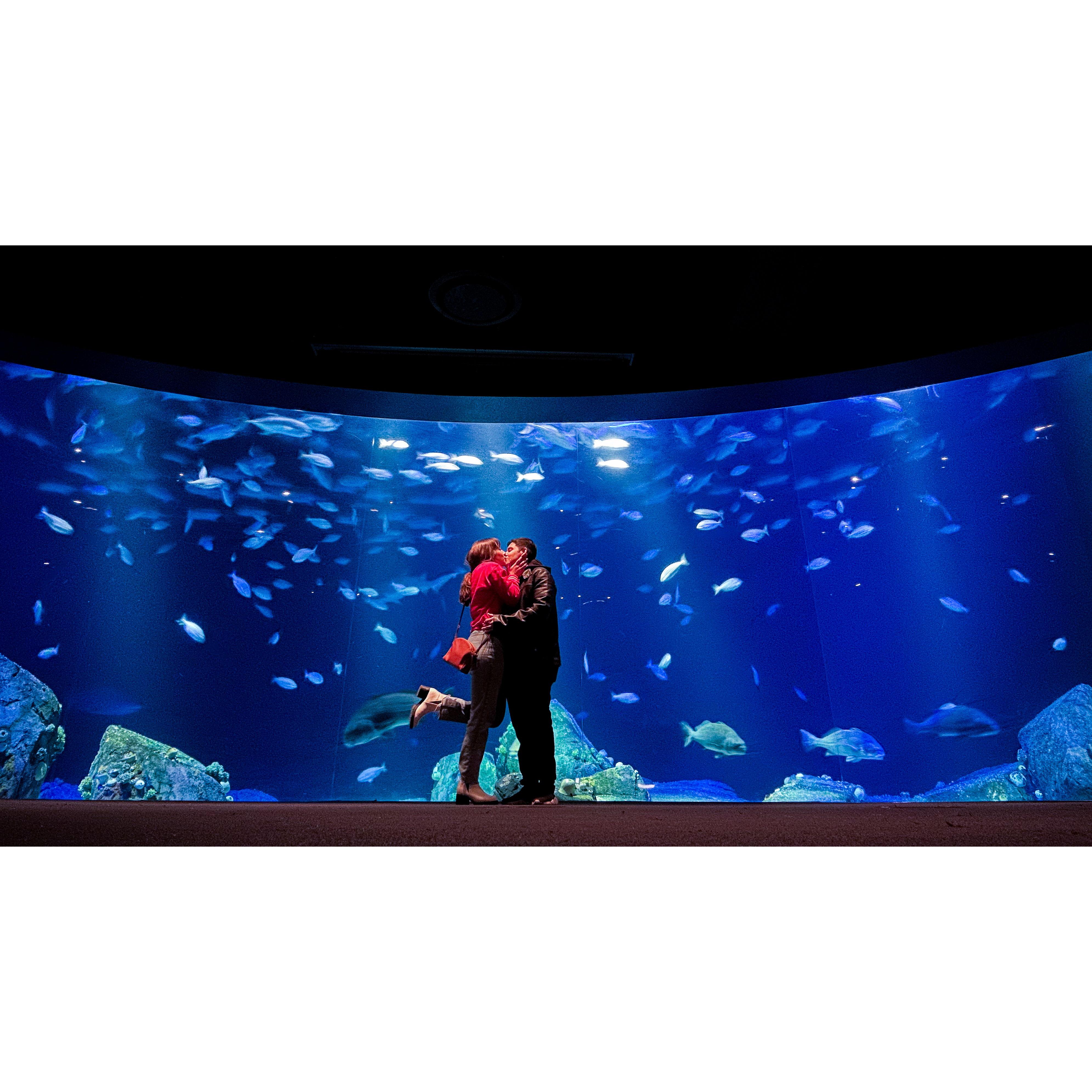 Us smooching in an aquarium in New York! :)