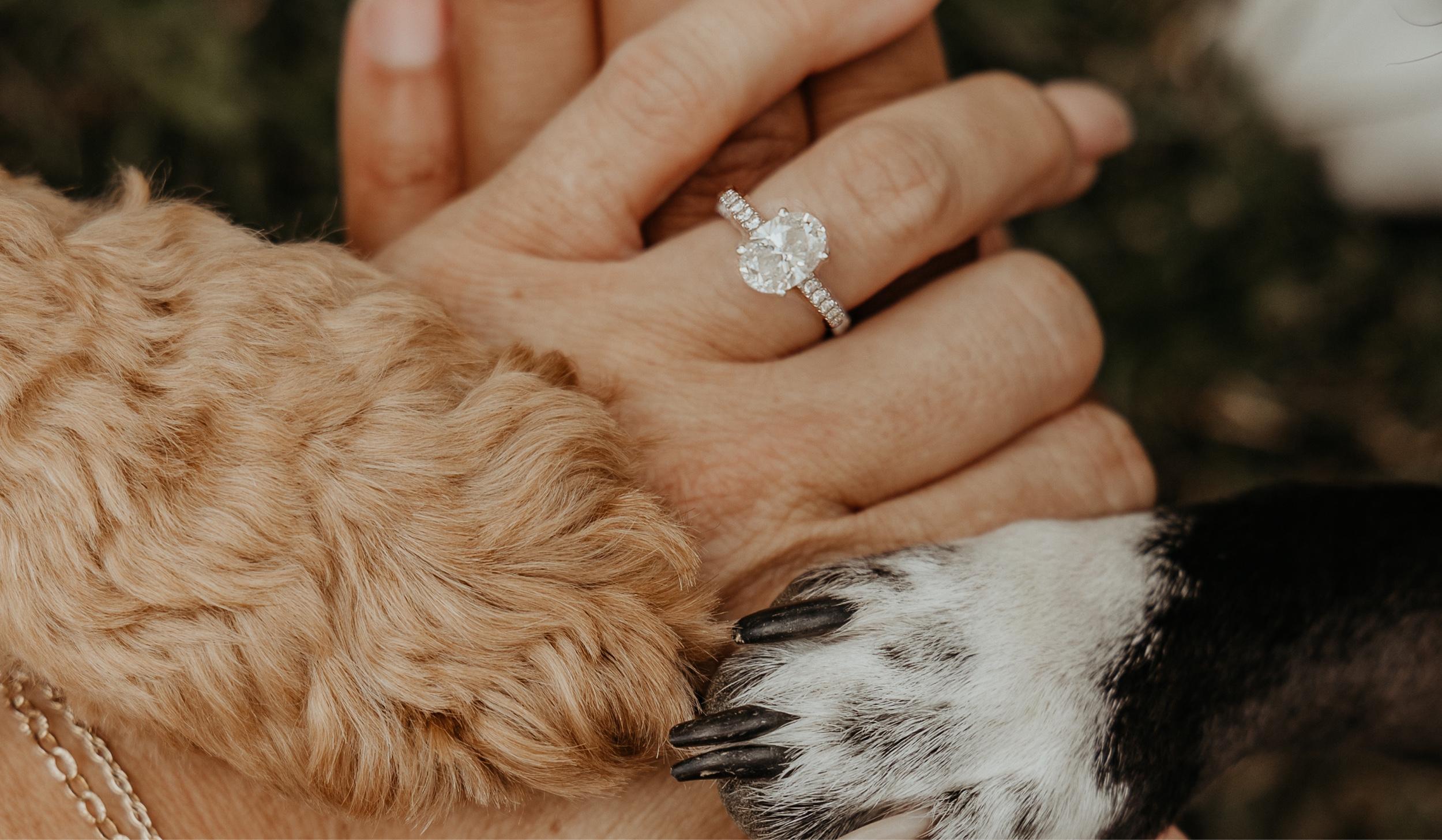 The Wedding Website of Britani Vance and Dontell Robinson