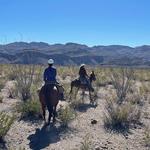 Lajitas Stables