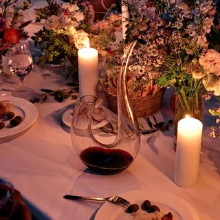 Elegance Tempo Decanter