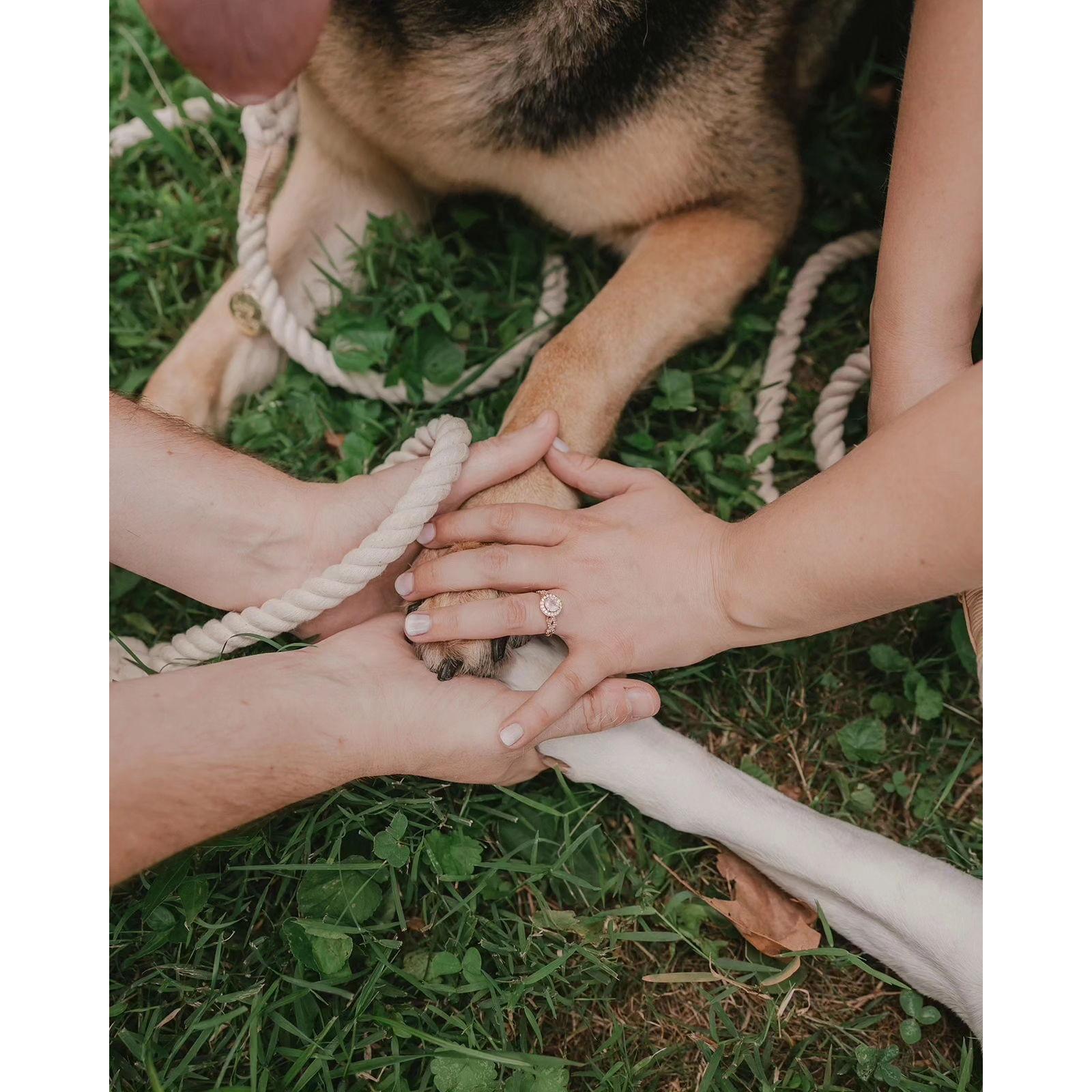 Engagement pictures with the pups at Hounz Lane Park!