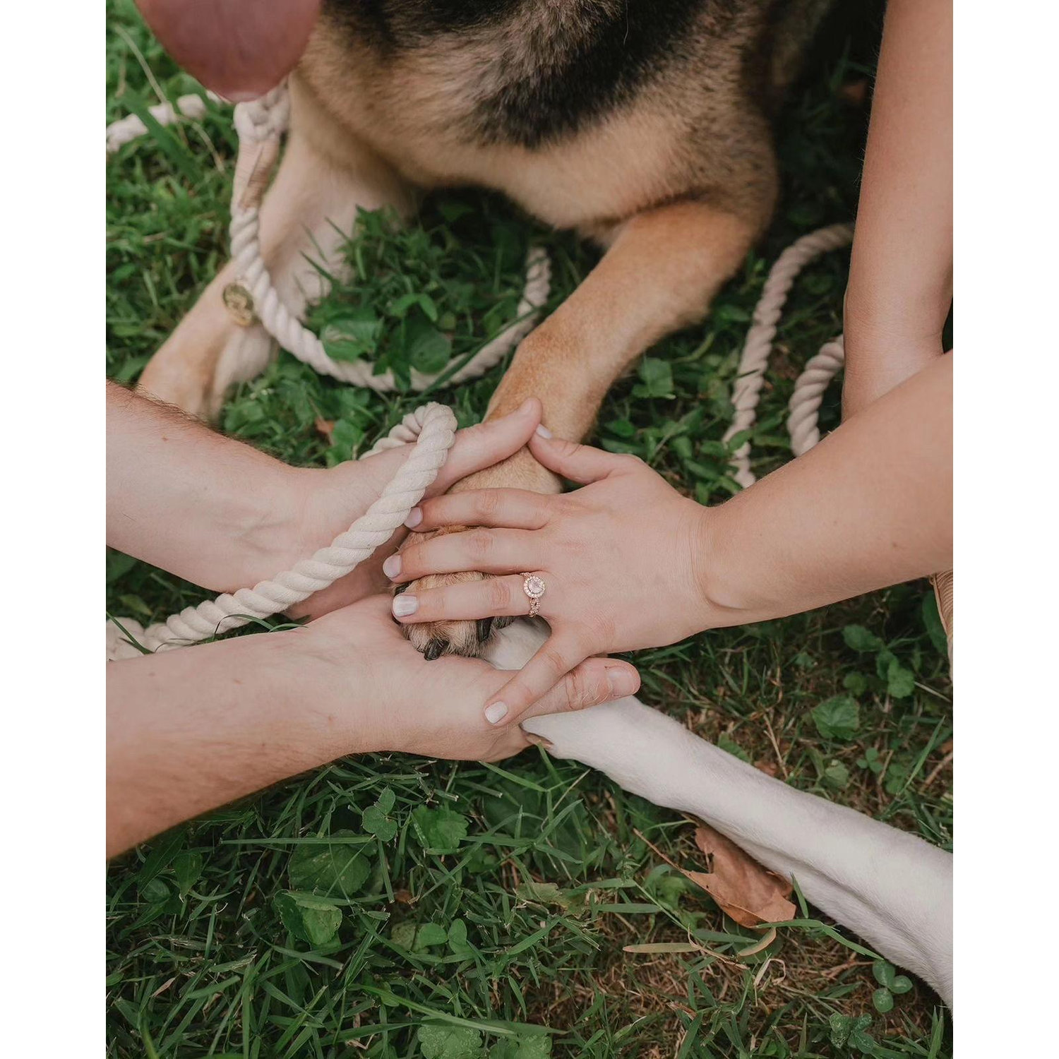 Engagement pictures with the pups at Hounz Lane Park!