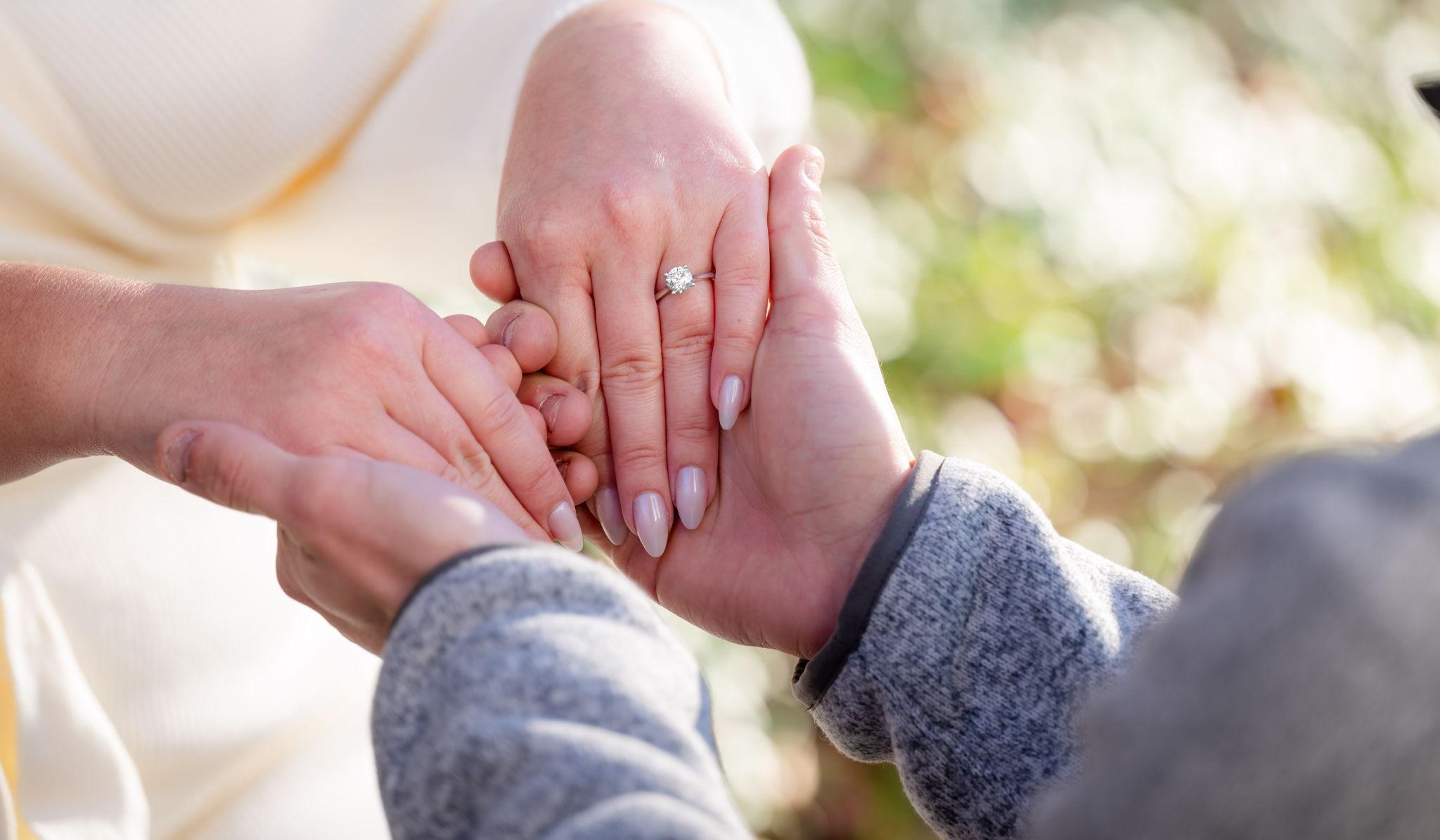 Hero Slideshow Image 3