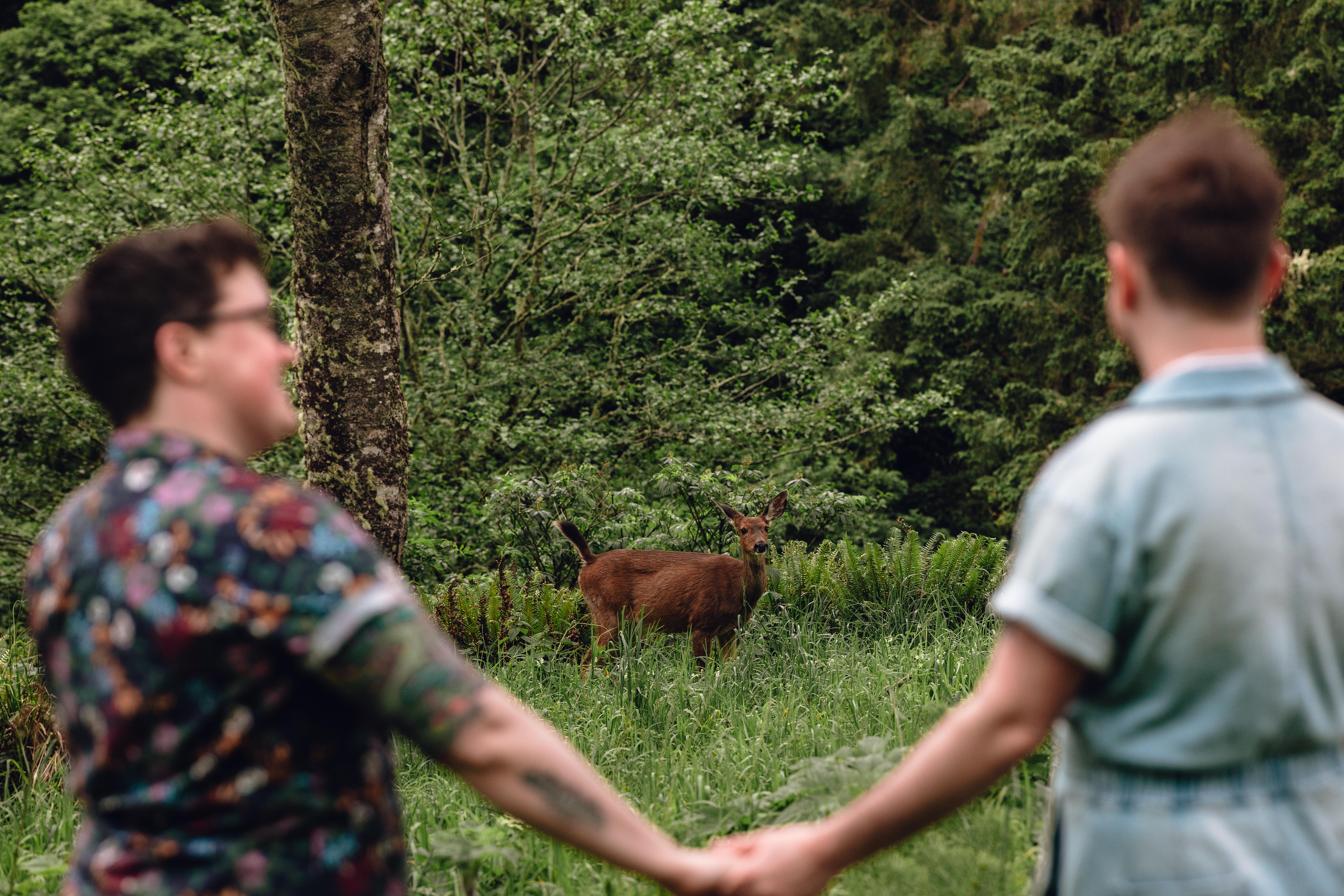 The Wedding Website of Anna Katarina Borroz and Dino Rowan Traite