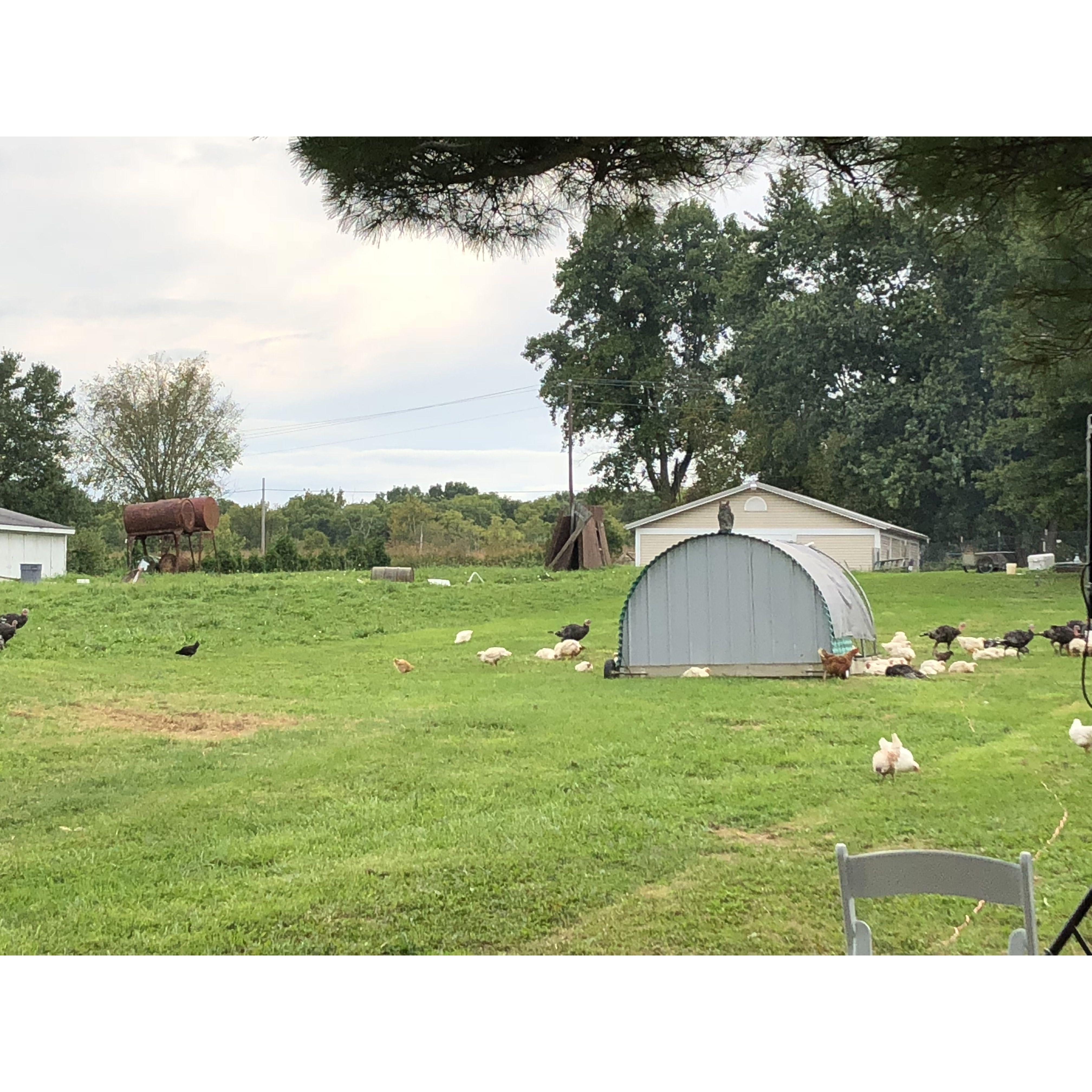 We set up camp on Front9Farm after an event..that was fun waking up in the middle of farm with all of the critters