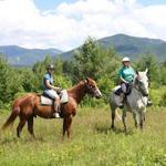 Franconia Notch Stables