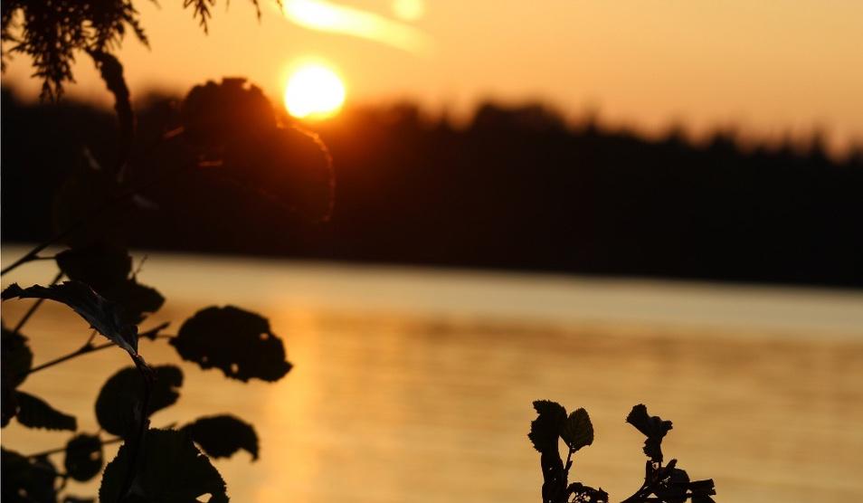 b1c6803d-ccac-44af-a2ab-d0c81ede7eeb