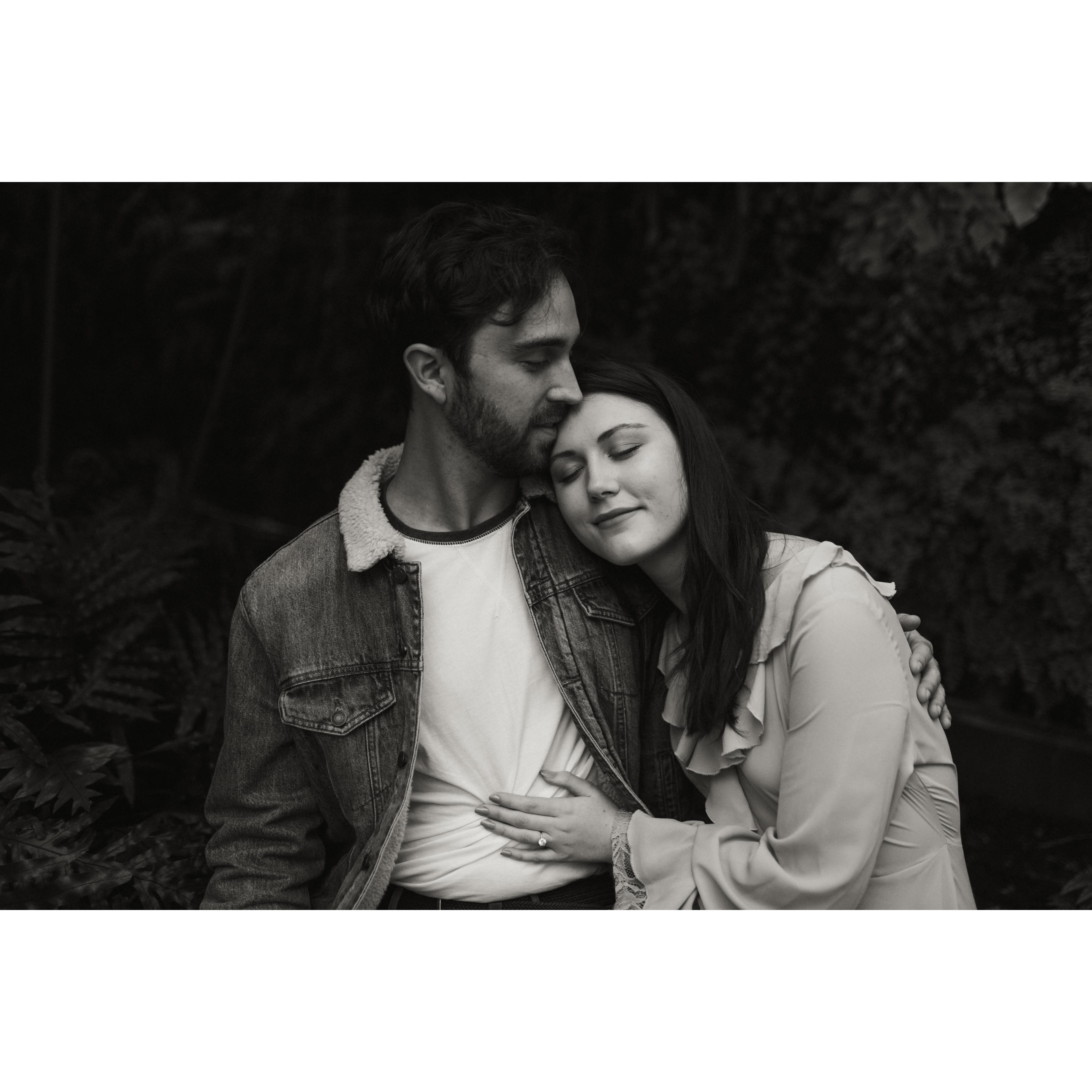 Engagement Portraits 2019
