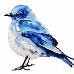 Midtown Bluebird