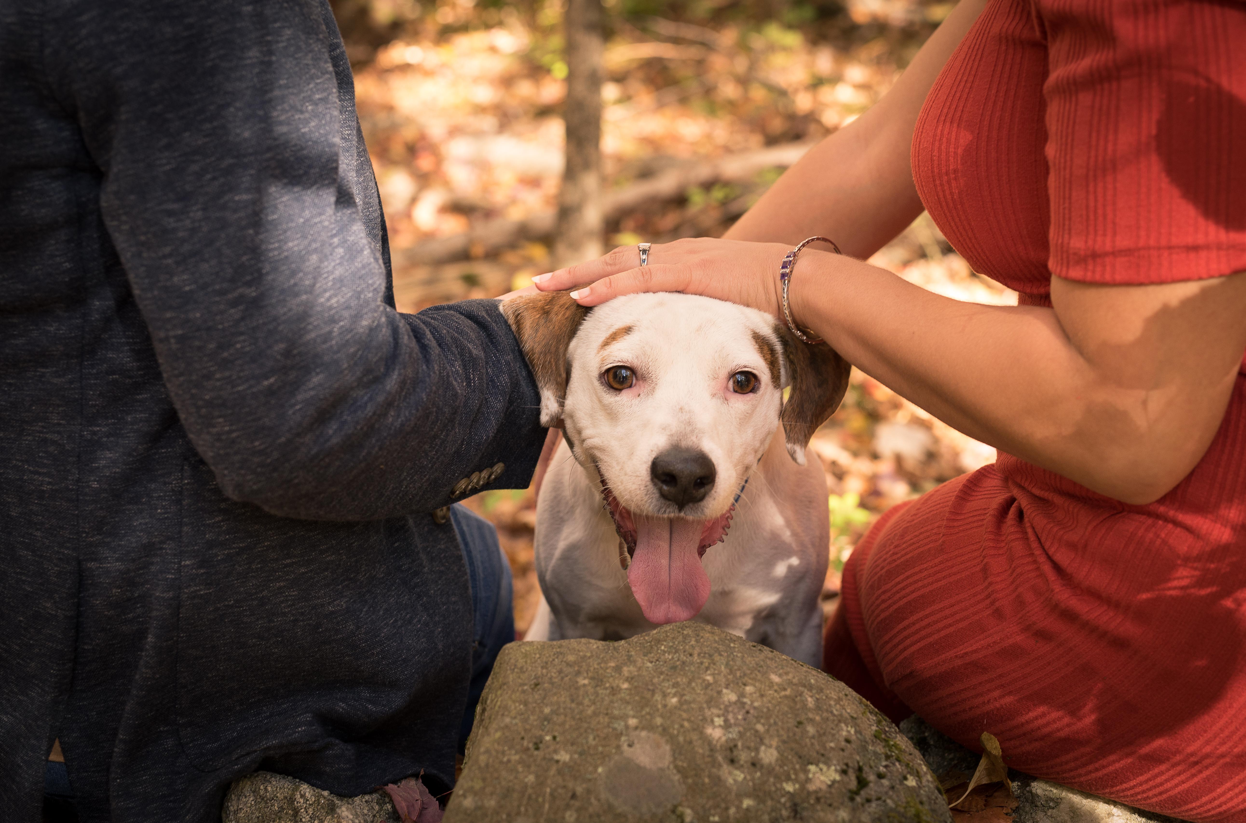 The Wedding Website of Emily Zambrello and Christopher Brechlin