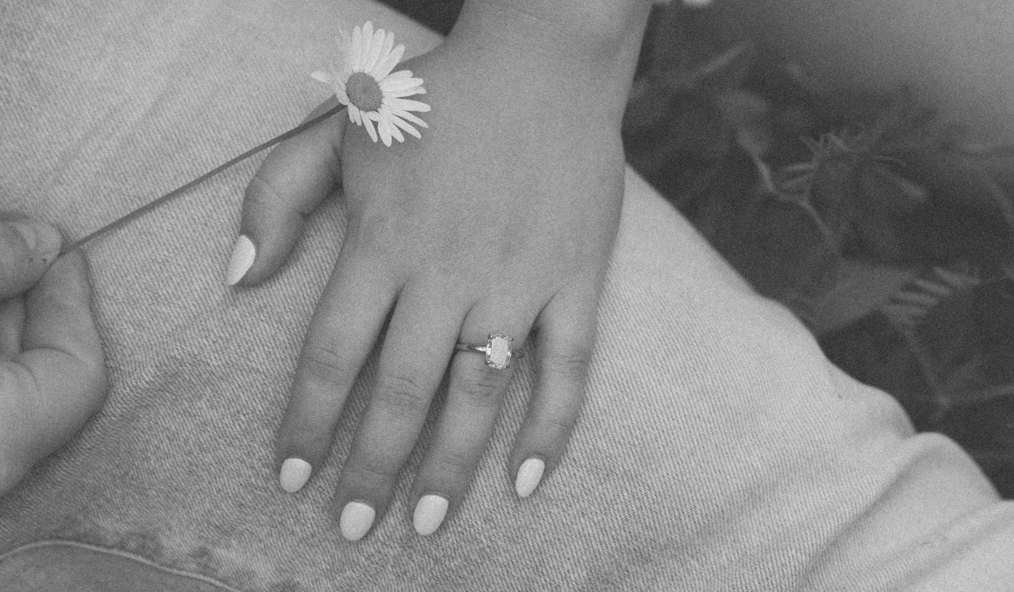 Hero Slideshow Image 5