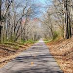 Swamp Rabbit Trail