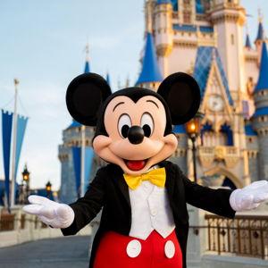 Disney World Park Tickets