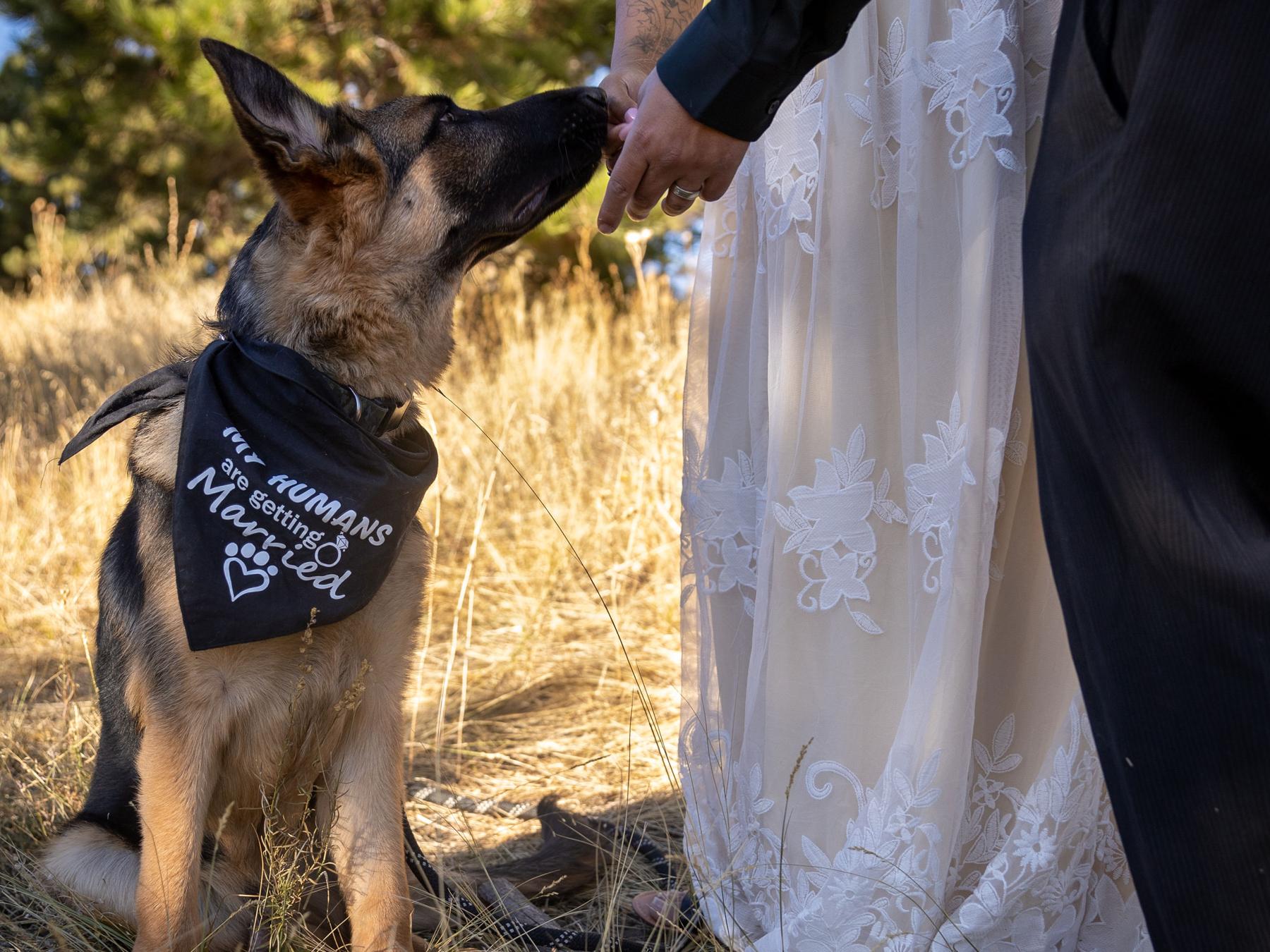 The Wedding Website of Maria Garcia and Christian Robles