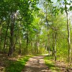 Bradley Palmer State Park
