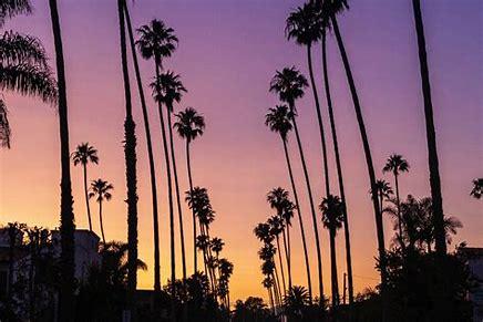 The Wedding Website of Erica Wosky and Marcus Adams