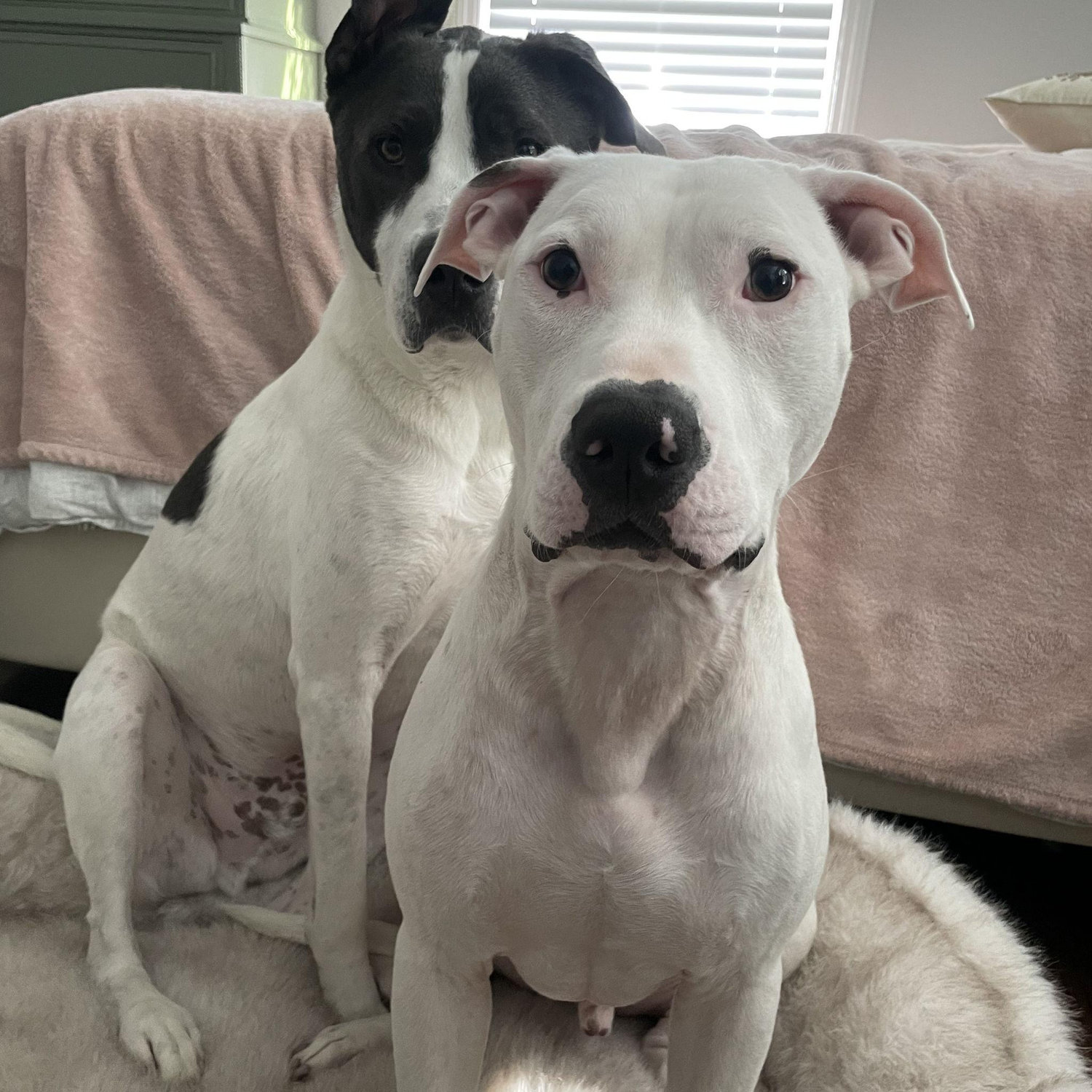 Winston & Patrick Phelps