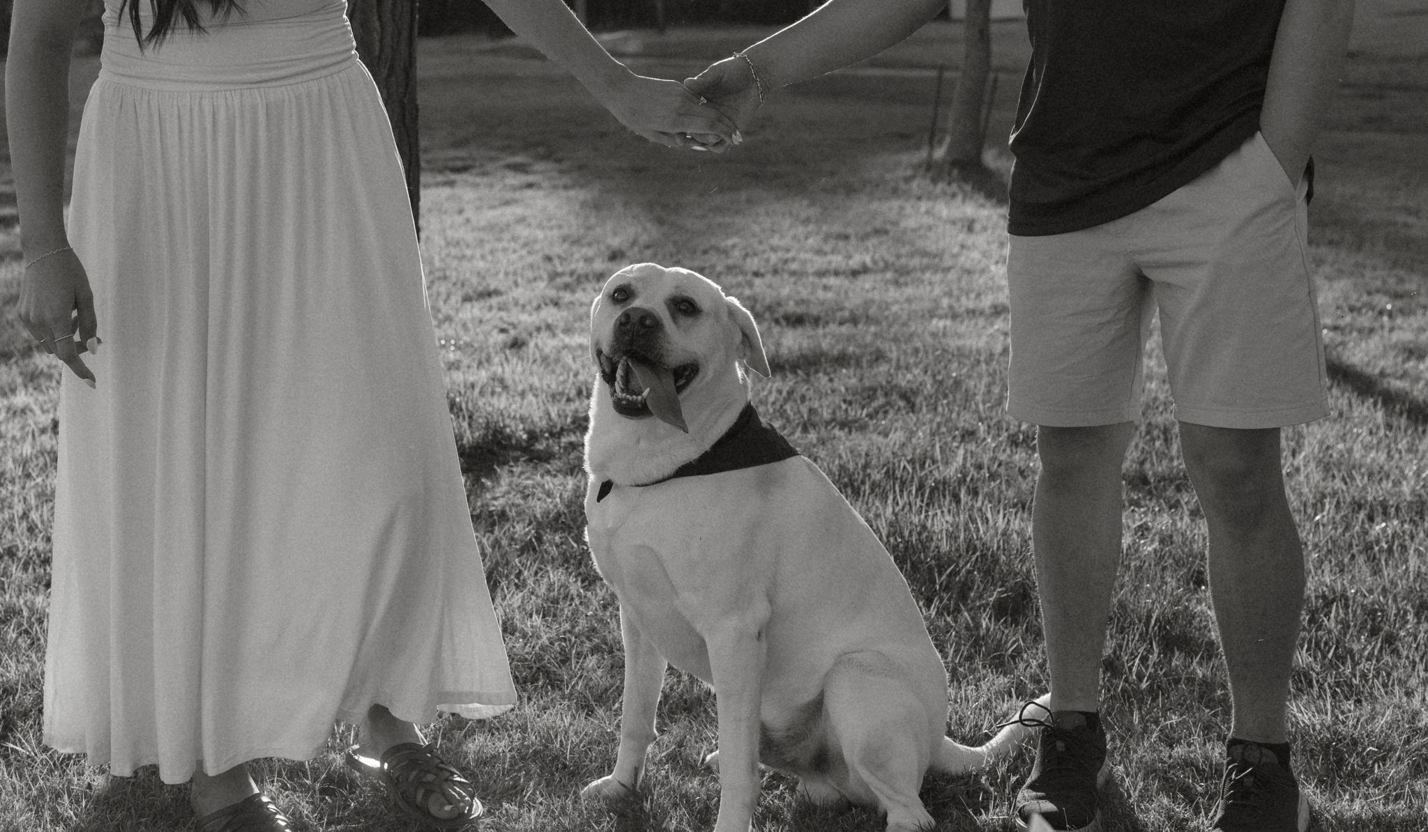Hero Slideshow Image 1
