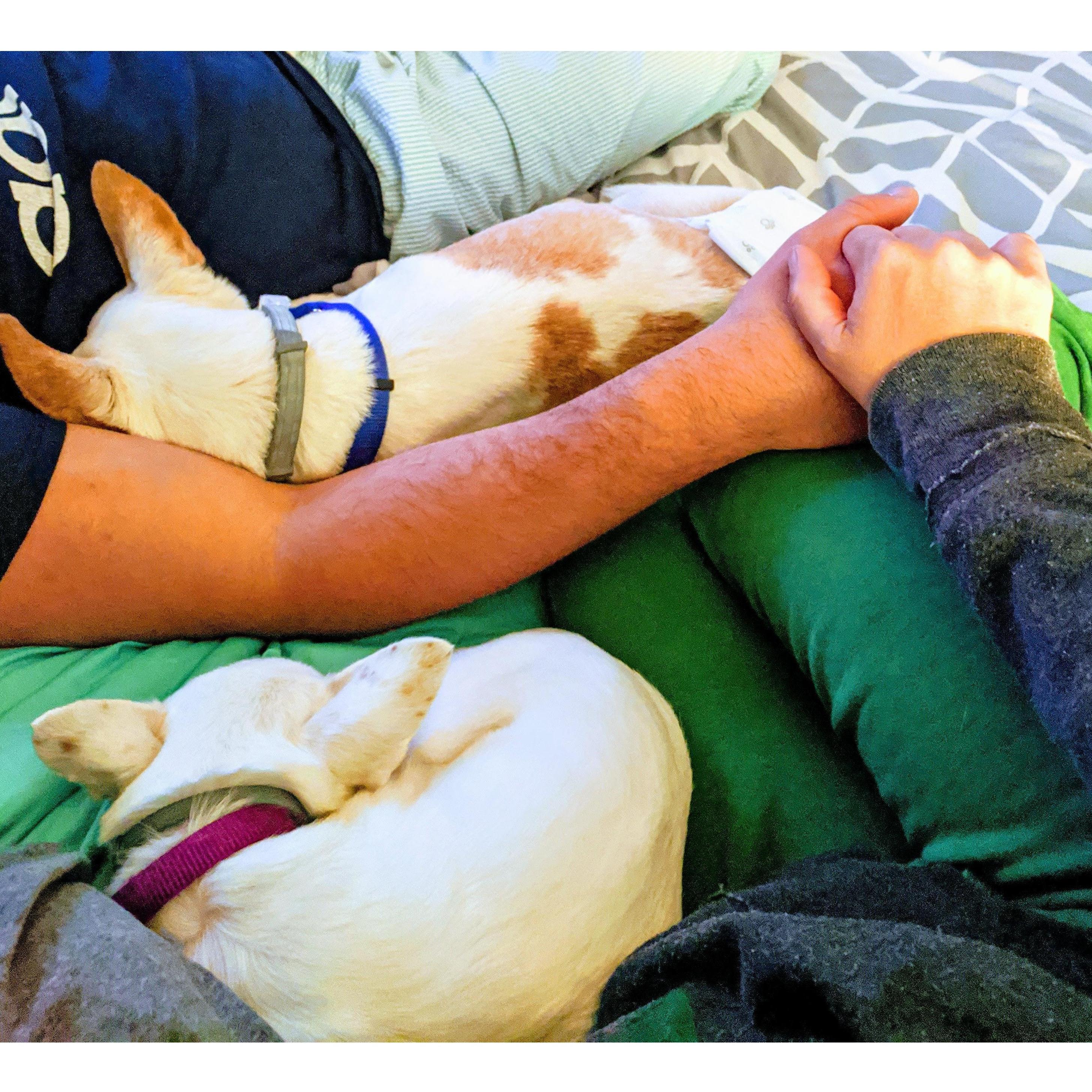 Family nap time