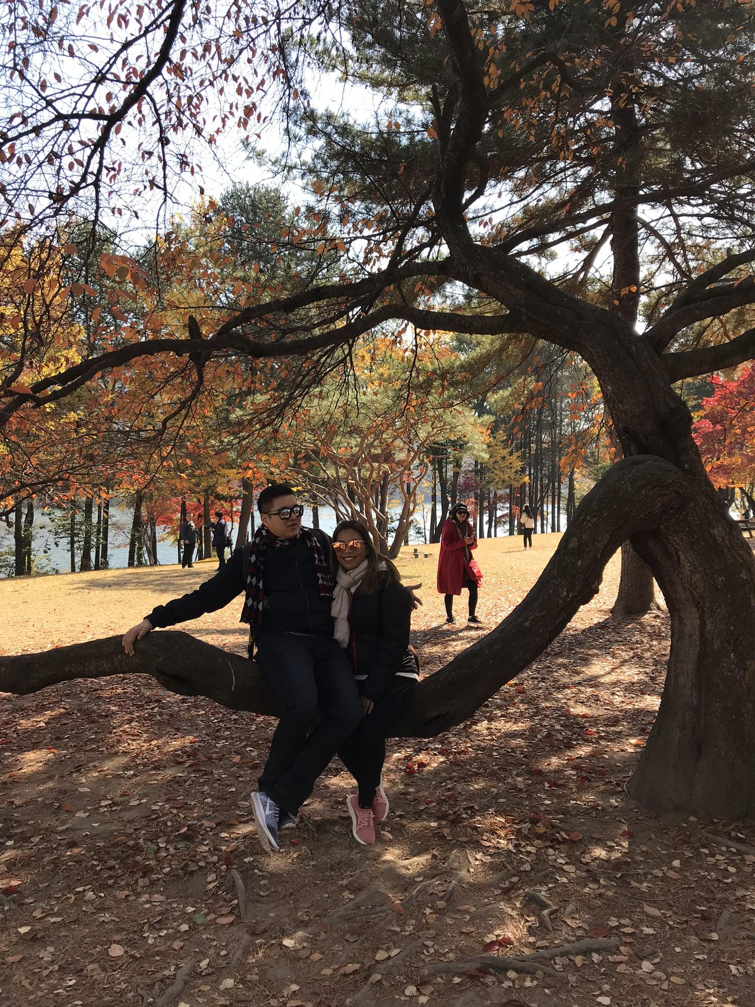 (2017) Nami Island, South Korea