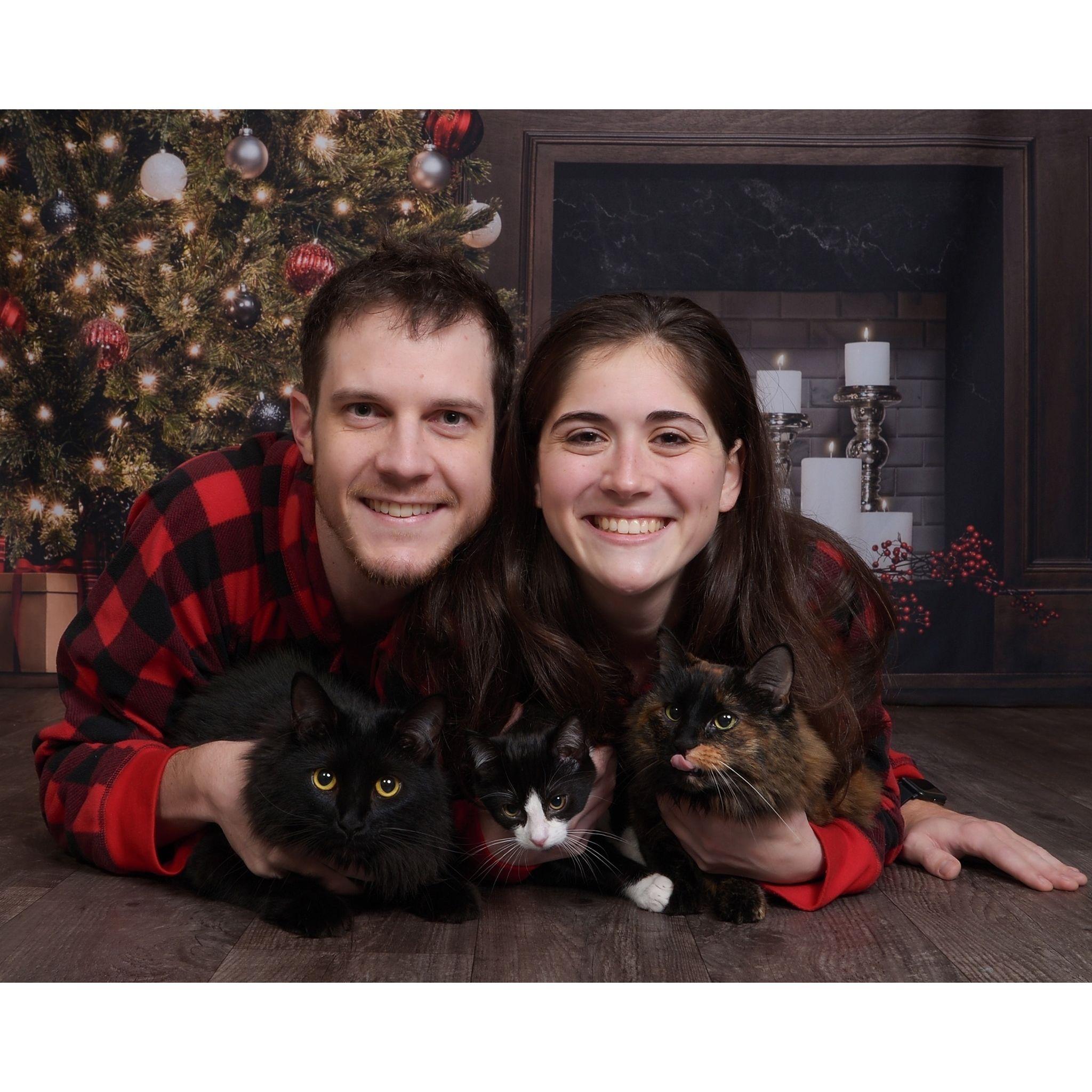 Yes we got matching onesies, drugged our cats,  and took them to the JC Penny Portrait Studio for photos
