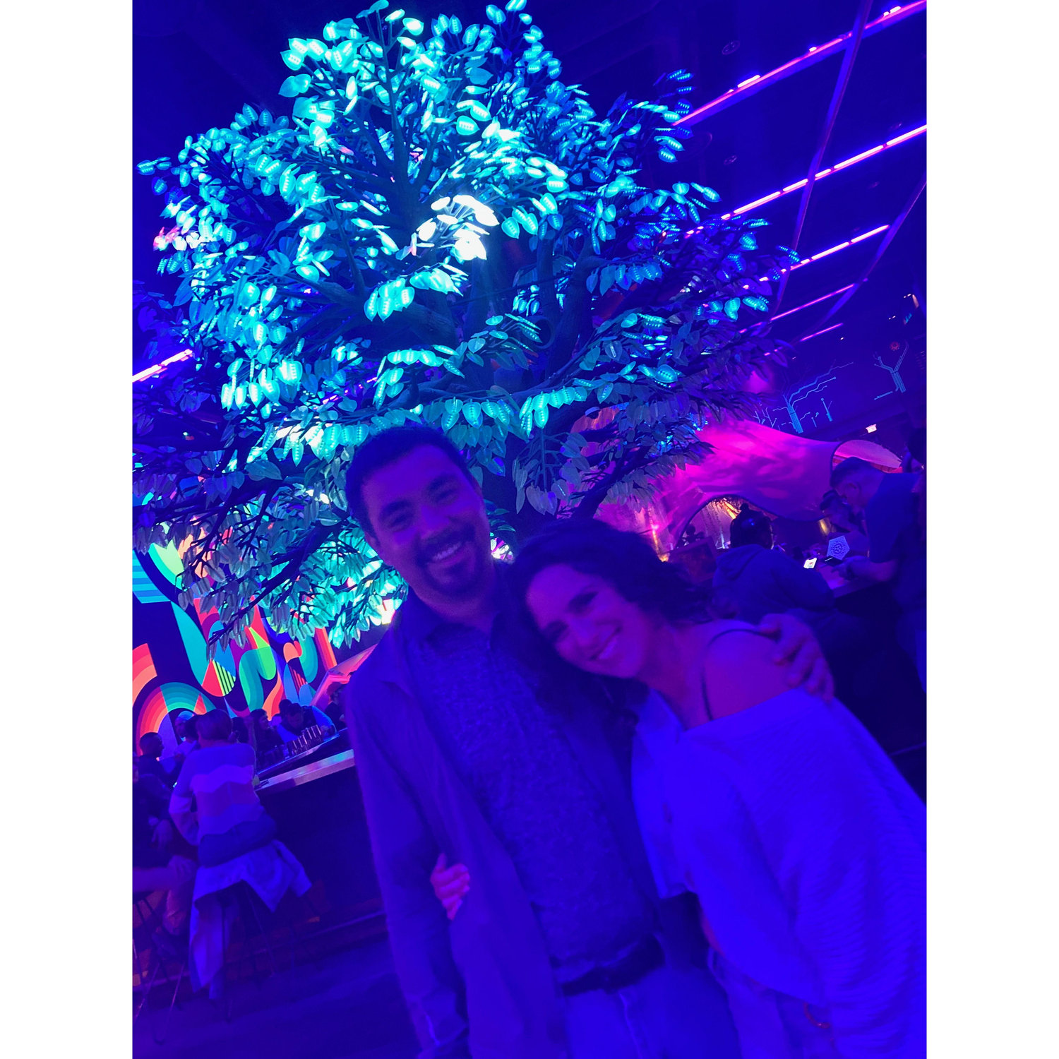 Our time at Meow Wolf in Vegas!
- November 12, 2022