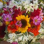 Dane County Farmers' Market