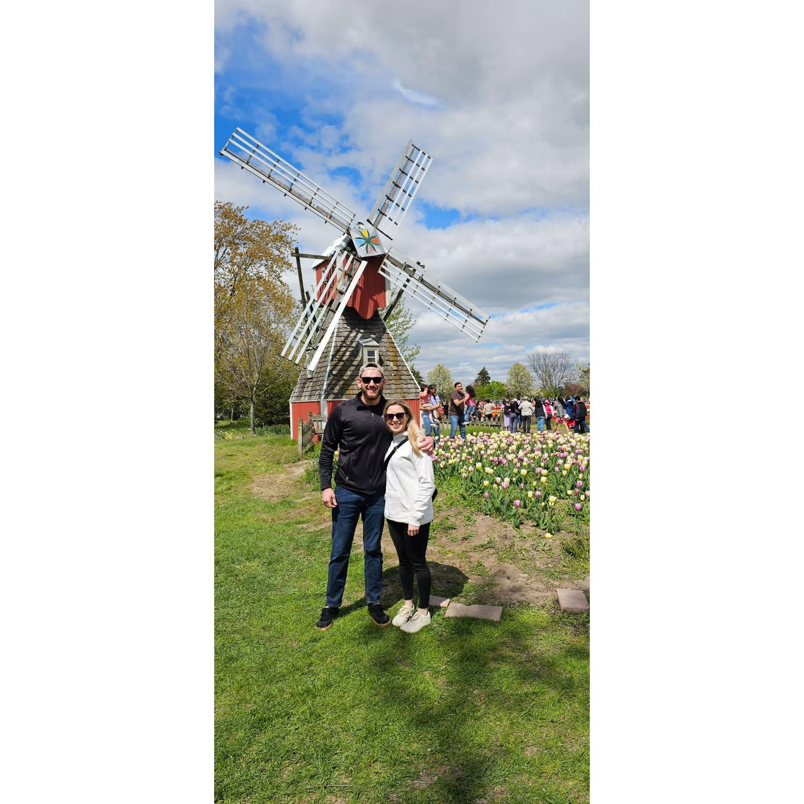 Tulip Time in Holland