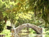 Stroll Through City Park or Audubon Park