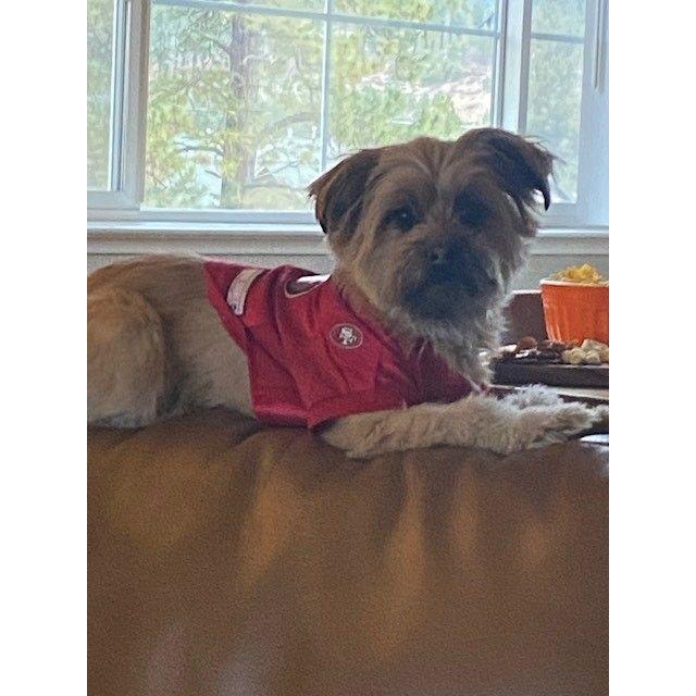 Sadie
