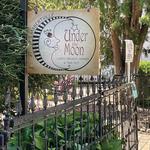 Under the Moon Cafe