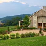 Pippin Hill Farm & Vineyards