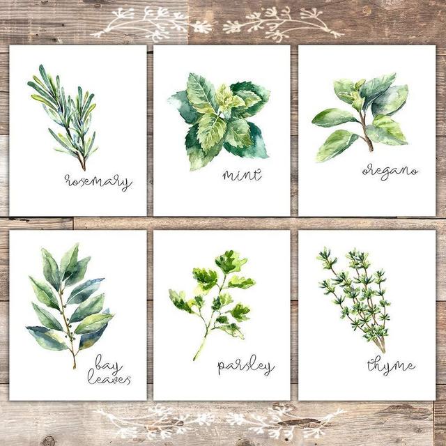 Kitchen Herbs Art Prints - Botanical Prints - (Set of 6) - Unframed - 8x10s