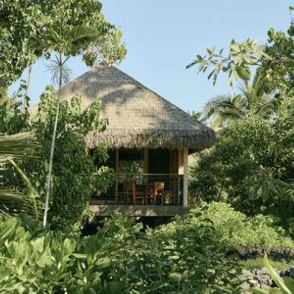 Honeymoon in Hawaii