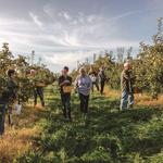 Apple Hill Orchards